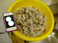 deglazed seafood in sieve with stop watch